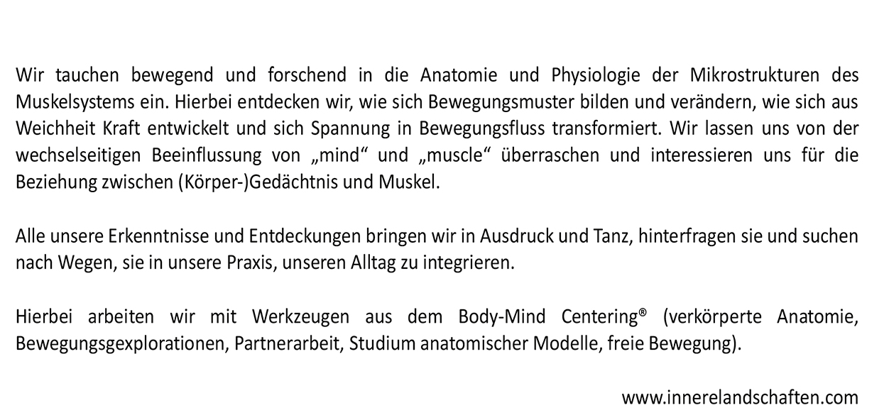 Muscle_Mind_and_Memory